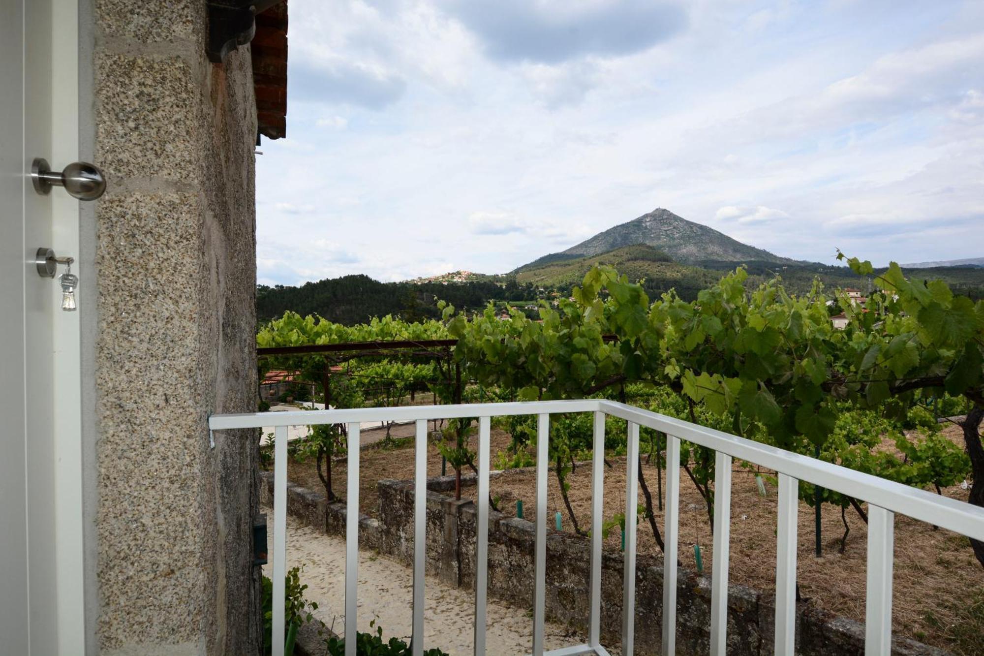 Вилла Quinta Do Fundo Мондин-ди-Башту Экстерьер фото